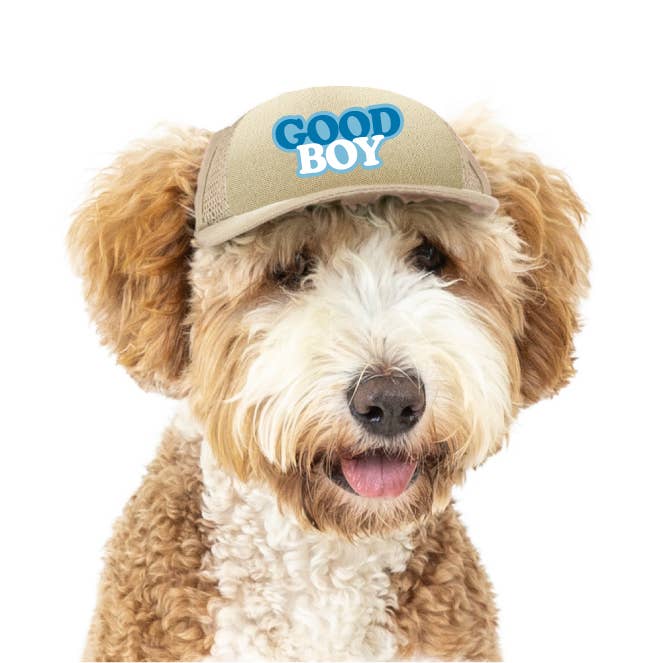 PupLid - Wholesale Pet hat – Dog - Good Boy | Trucker Hat for Dogs9