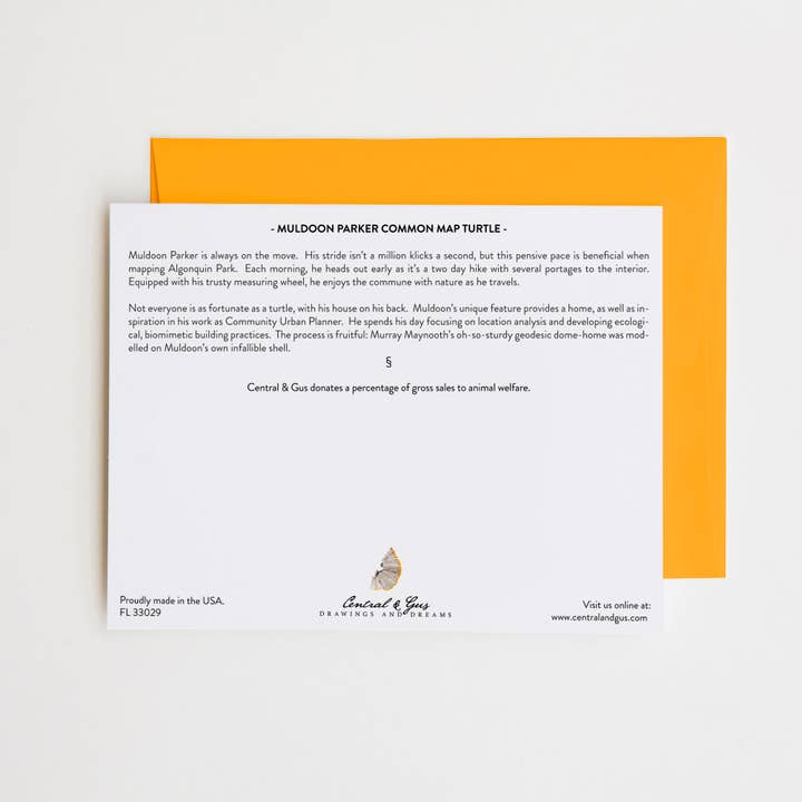 Central & Gus - Vente Assortiments de papeterie/cartes - Muldoon Parker Carte Common Carte Tortue Carte1