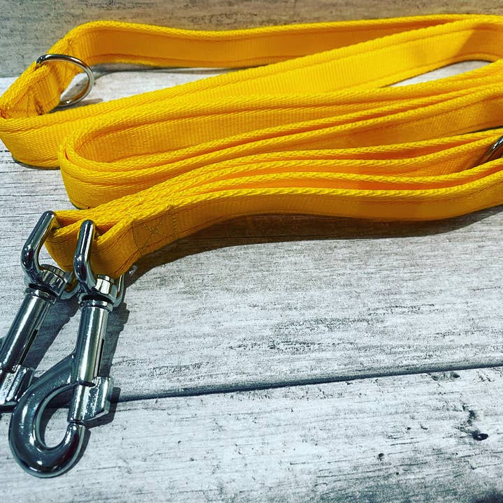 Guinzaglio da allenamento con fettuccia imbottita in tinta unita per la vendita all'ingrosso da parte di Dottie's Pet Boutique