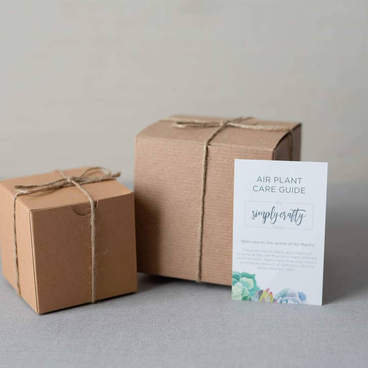 The Simply Crafty Shop - Wholesale Terrarium - Pear Shape Terrarium Kit- Semi-Precious Stone22