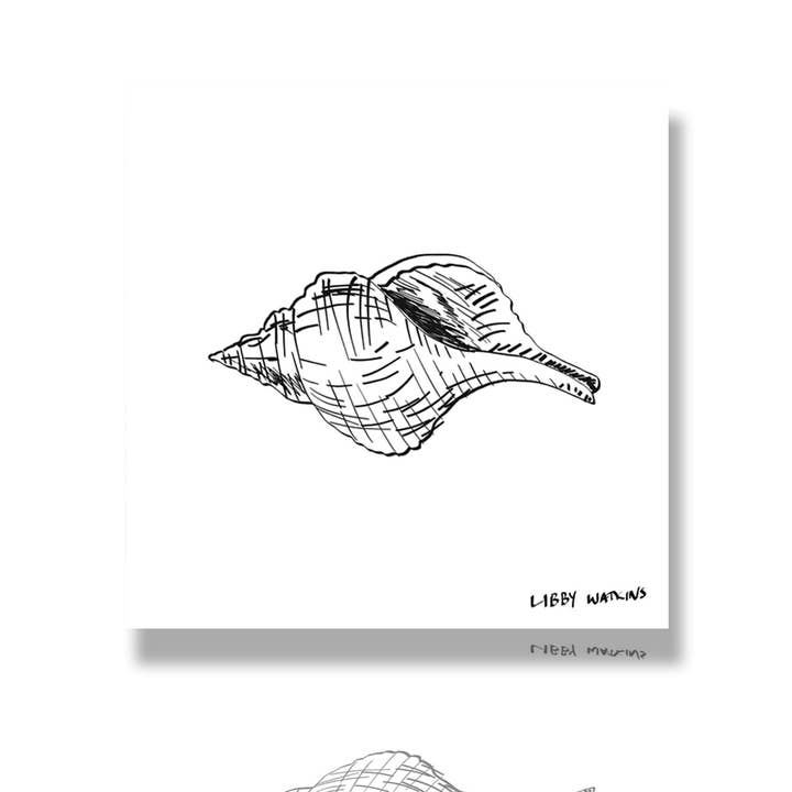 Libby Watkins - Wholesale Art print - Trapezium Conch Sea Shell Canvas Print4