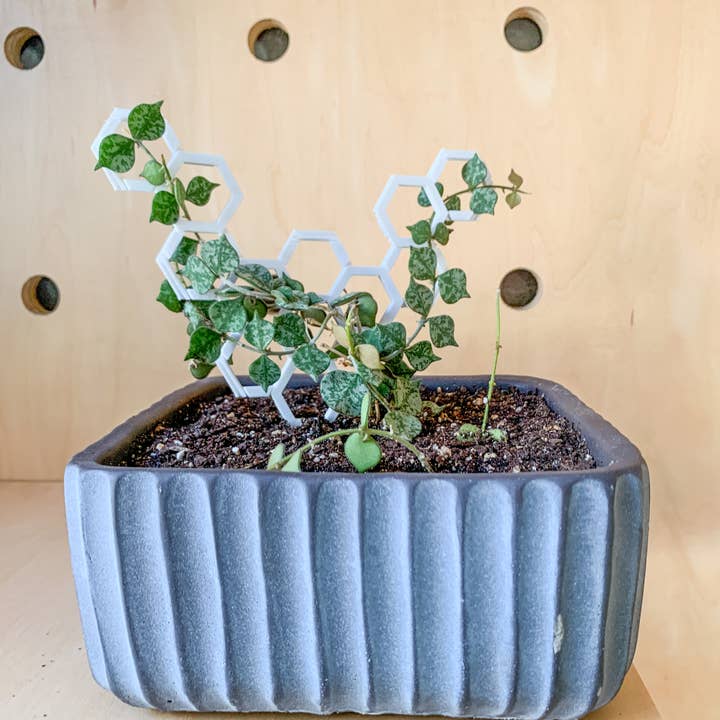 Steel Silk LLC - Wholesale Trellis - 3D Printed Modular Hexagon Indoor Plant Trellis - White