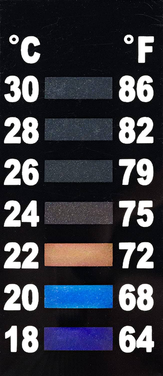 Penn-Plax - Wholesale Terrarium - Water-World Vertex Aquarium Kit with LED Light – 5 Gallon4