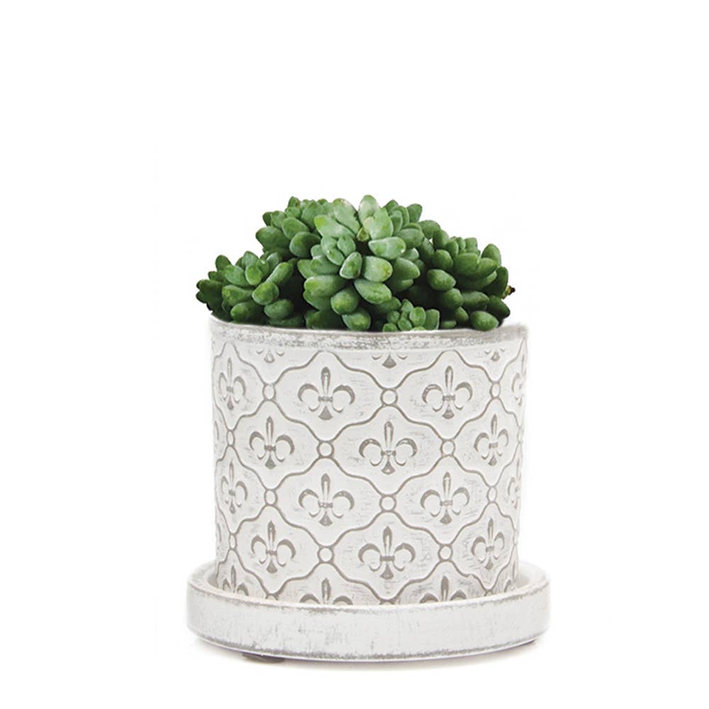 Chive UK - Wholesale Plant Pot - Balter Pot with Saucer for Houseplants, Cacti, Succulents5