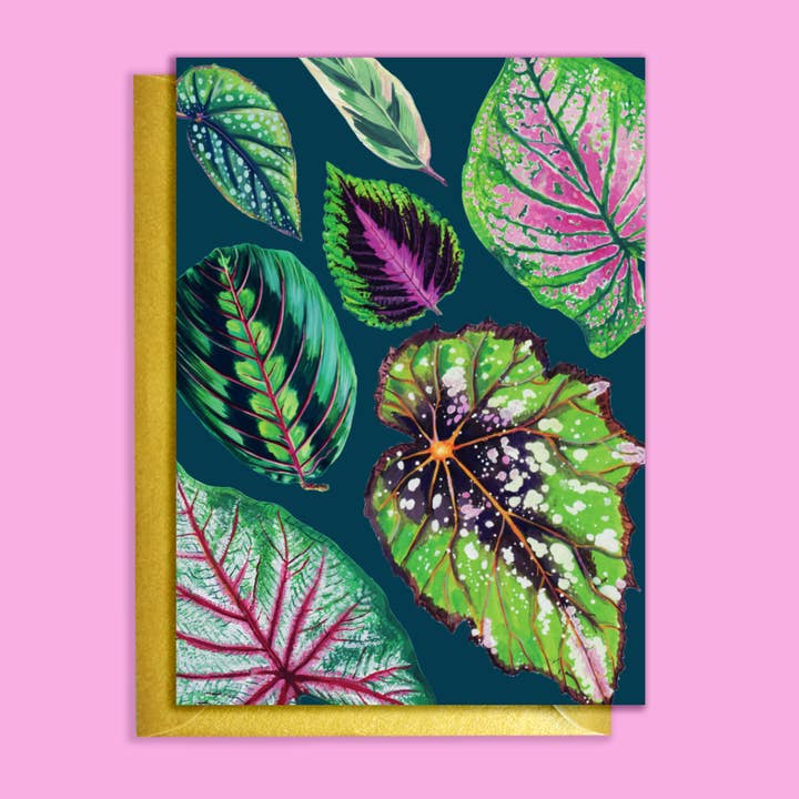 Vivid Mixed Houseplants Teal Pattern Card for wholesale by Rocket 68