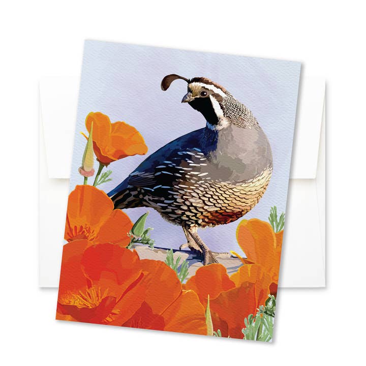 Freundschaftskarte | Everyday Floral California Quail & Poppies für den Großhandel von The Red Barn Press