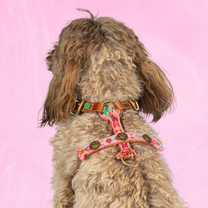 Boho Rosa Y-Harness XS (Chest Size 35.5-44 cm) voor wholesale door Dog with a Mission