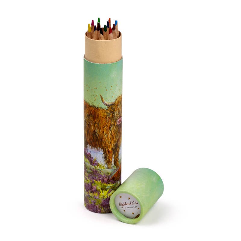 Puckator Ltd – wholesale Pencil case/pouch – Jan Pashley Highland Coo Large 12 Colouring Pencils3