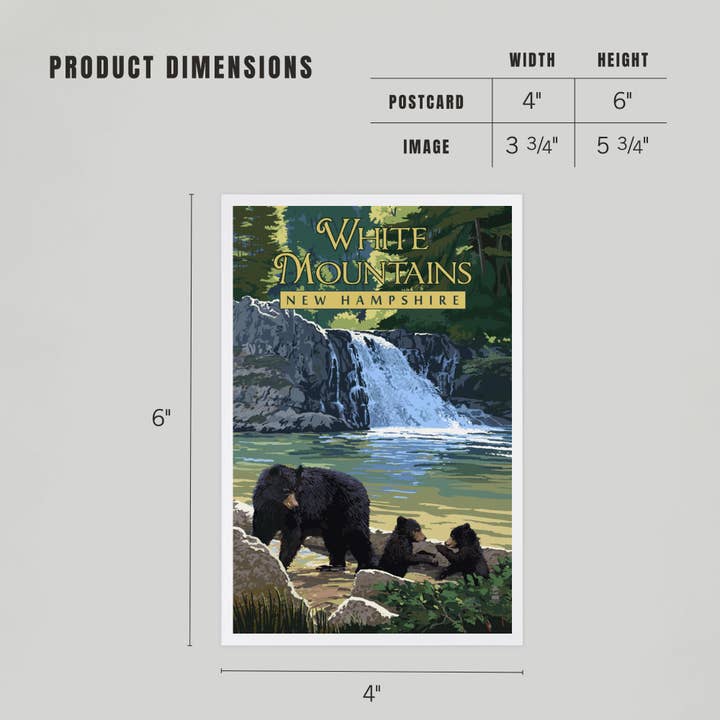 Lantern Press - Wholesale Postcard - PREMIUM POSTCARDS White Mountains, NH Waterfall and Bears