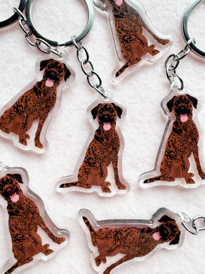Plott Hound Keychain for wholesale by Our Cheery Corner
