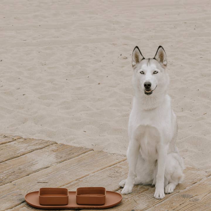 maxbone - Wholesale Pet Bowl - Cat/Dog - Square Bowls & Mat Set for Dogs5