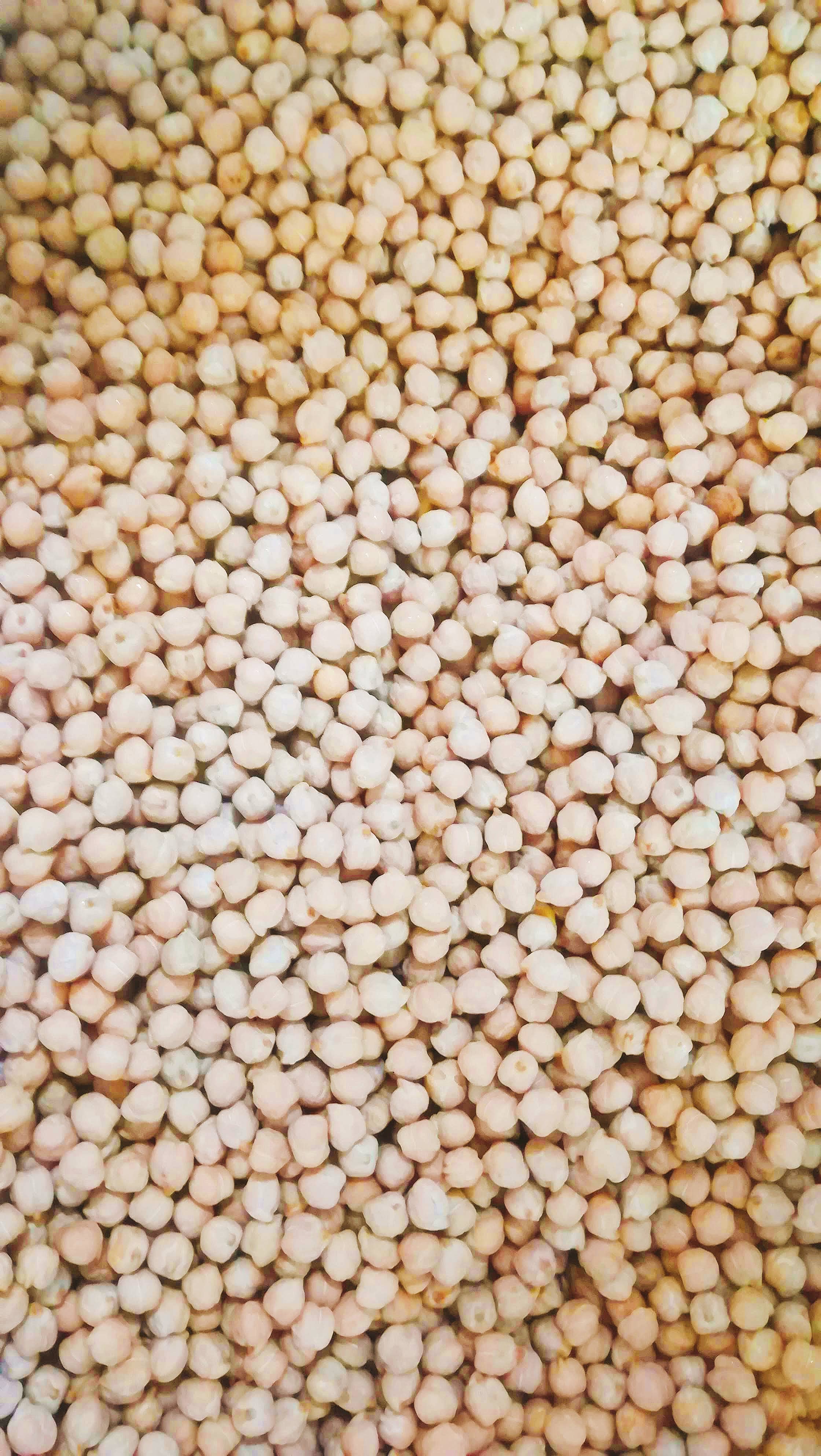 Toscana in Tavola - Wholesale Beans - Organic Natural Chickpeas 500g1