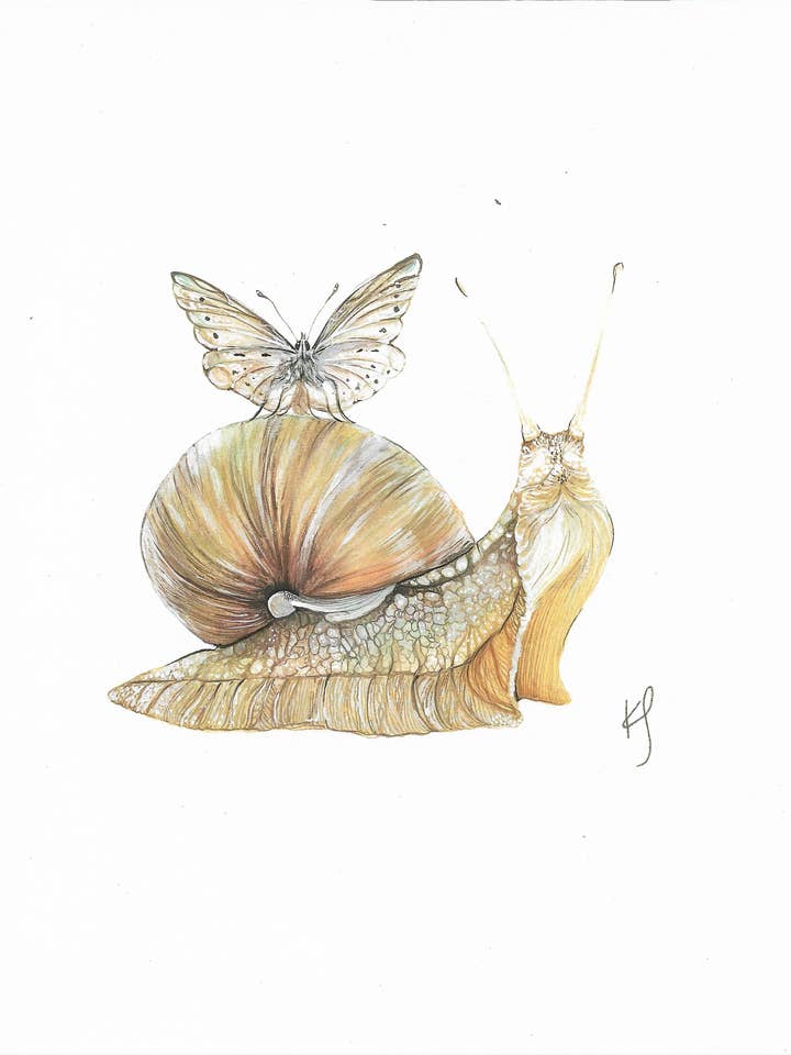 Snegl og møl for engroshandel hos Artist: Kimberley Slezak