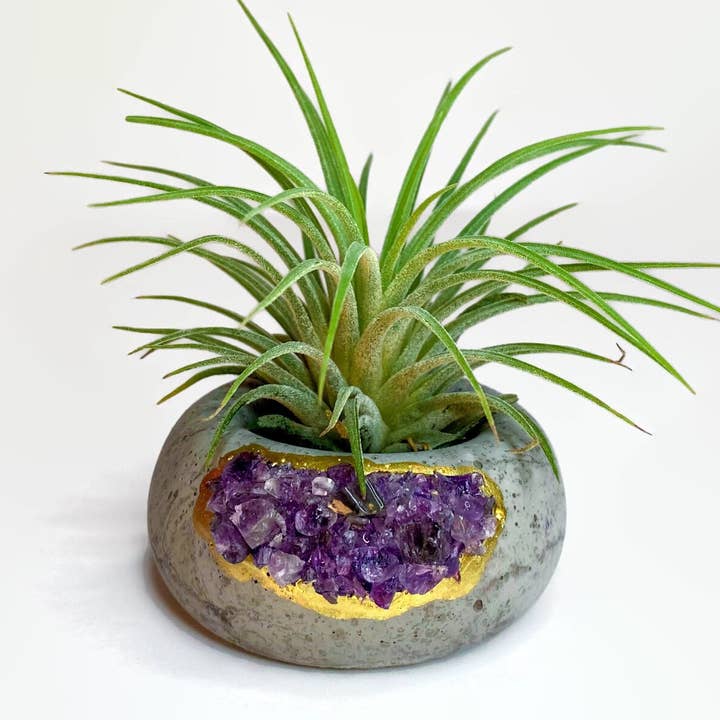 Crystal Air Plant Holder - Geode Planter Pot - Raw Amethyst and other Purchase Wholesale macetas barro. Free Returns & Net 60 Terms on Faire trending on Faire.