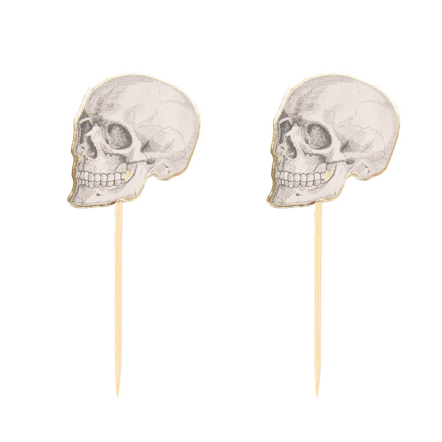 Tim&Puce Factory - Wholesale Cocktail Pick - CABINET OF CURIOSITIES SKULL COCKTAIL PICKS X 100