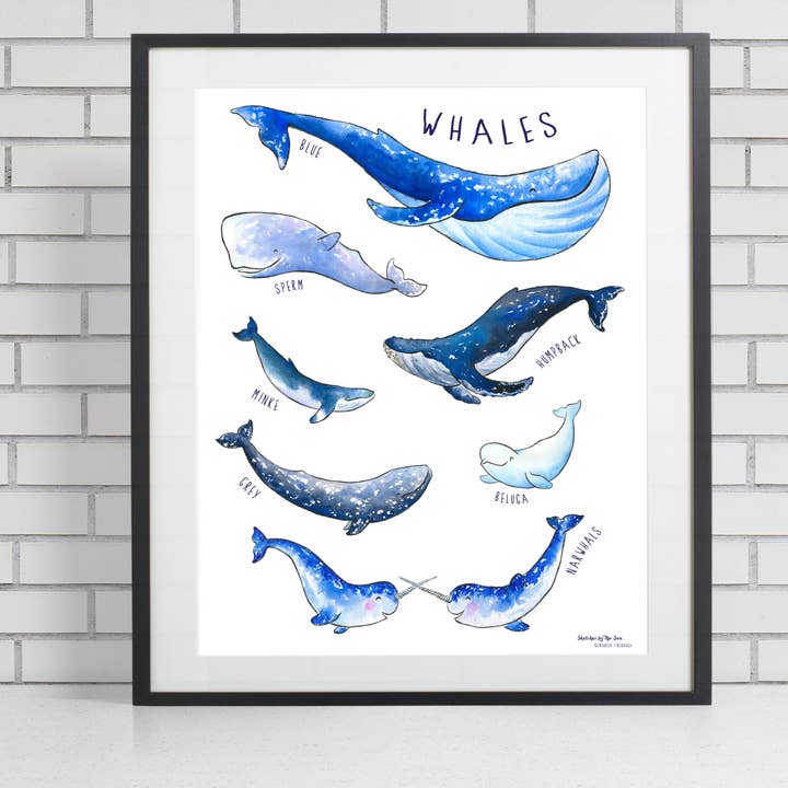 Poster „Wale“ für den Großhandel von Sketches By The Sea