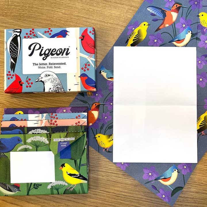 pigeonposted - Wholesale Stationery/Notecard Set - Carnival of Colour Pigeon letter pack