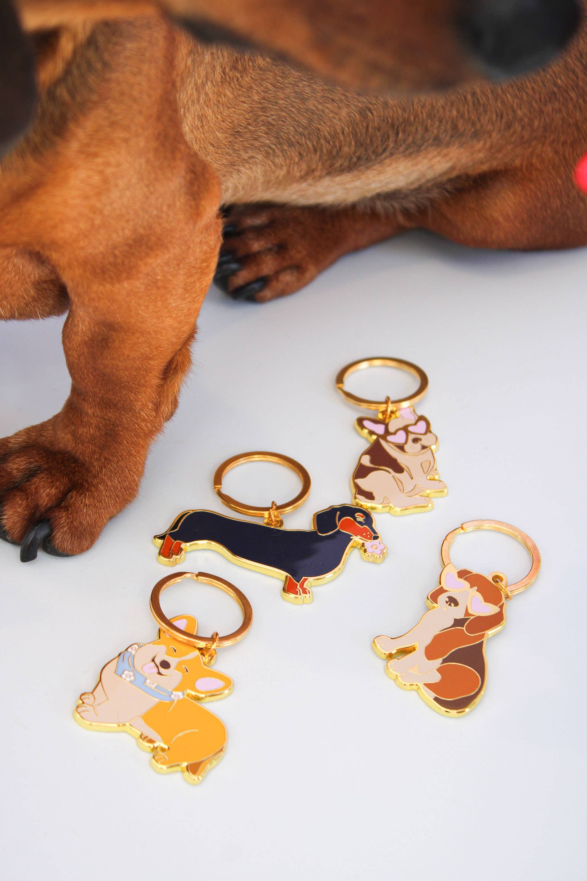 MALICIEUSE – Porta-chaves - Mulher por atacado – Porta-chaves Corgi5