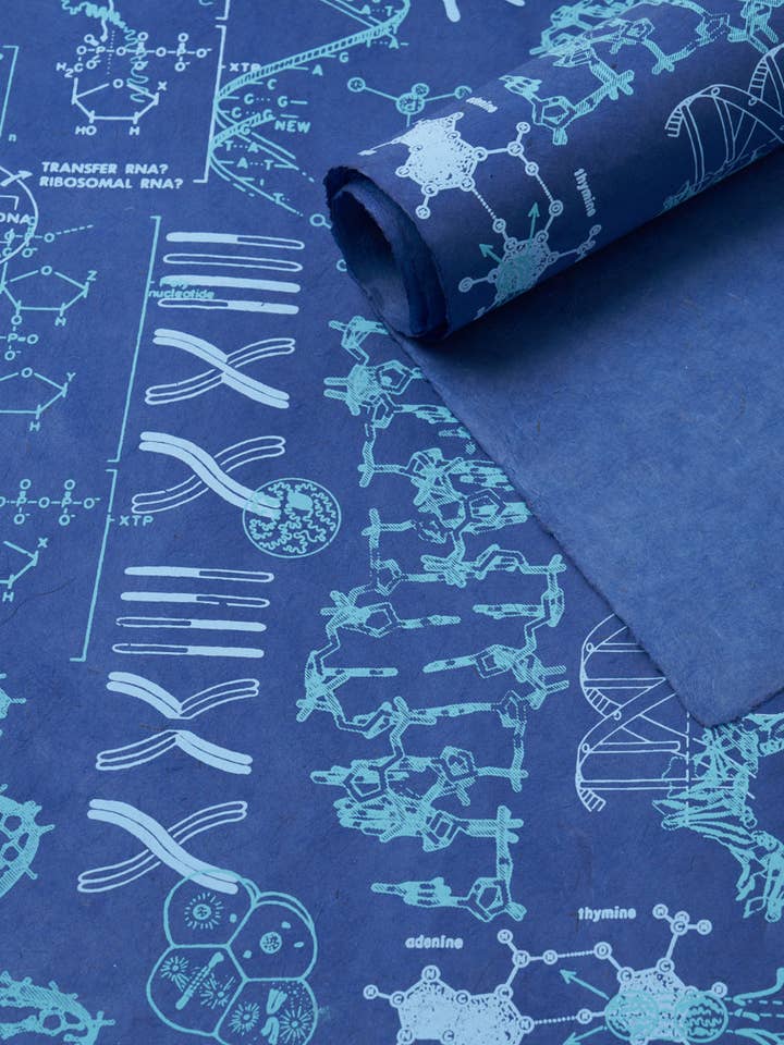 Genetics & DNA Wrapping Paper (Case of 6) for wholesale by Cognitive Surplus