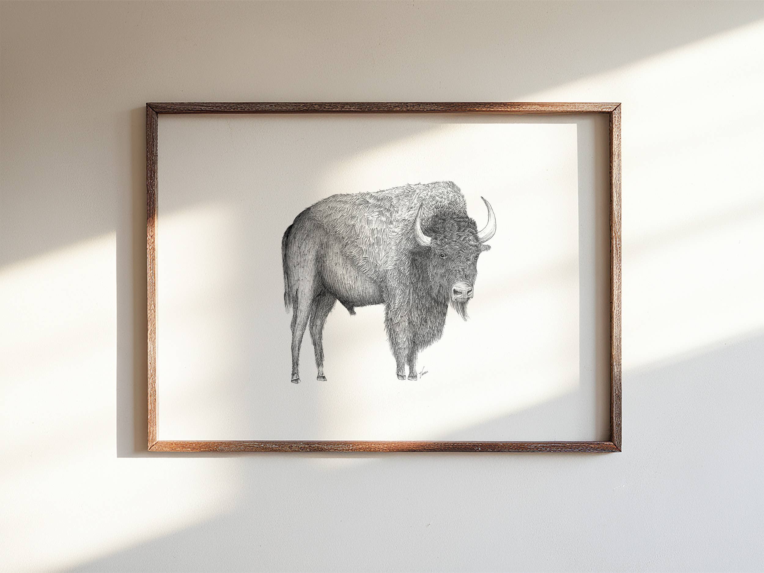 Vanee.ink - Wholesale Art Print - Bison Print2
