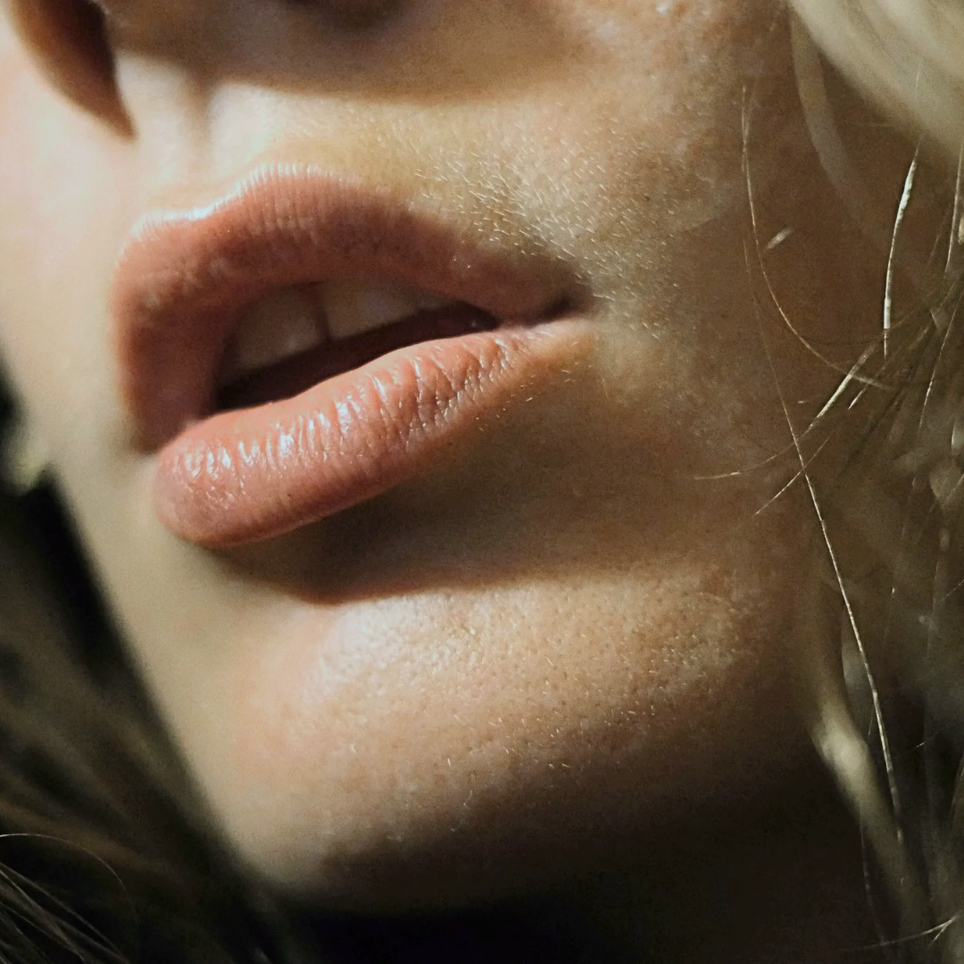 Stay Wild Apothecary – Engroshandel Læbepomade – Argan & Shea Læbebalsam1