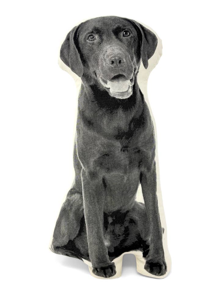 Labrador Retriever Pillow and other Purchase Wholesale lab. Free Returns & Net 60 Terms on Faire trending on Faire.