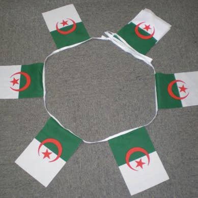 6m 20 Flag Algeria Bunting for wholesale by Worldwide Flags Ltd