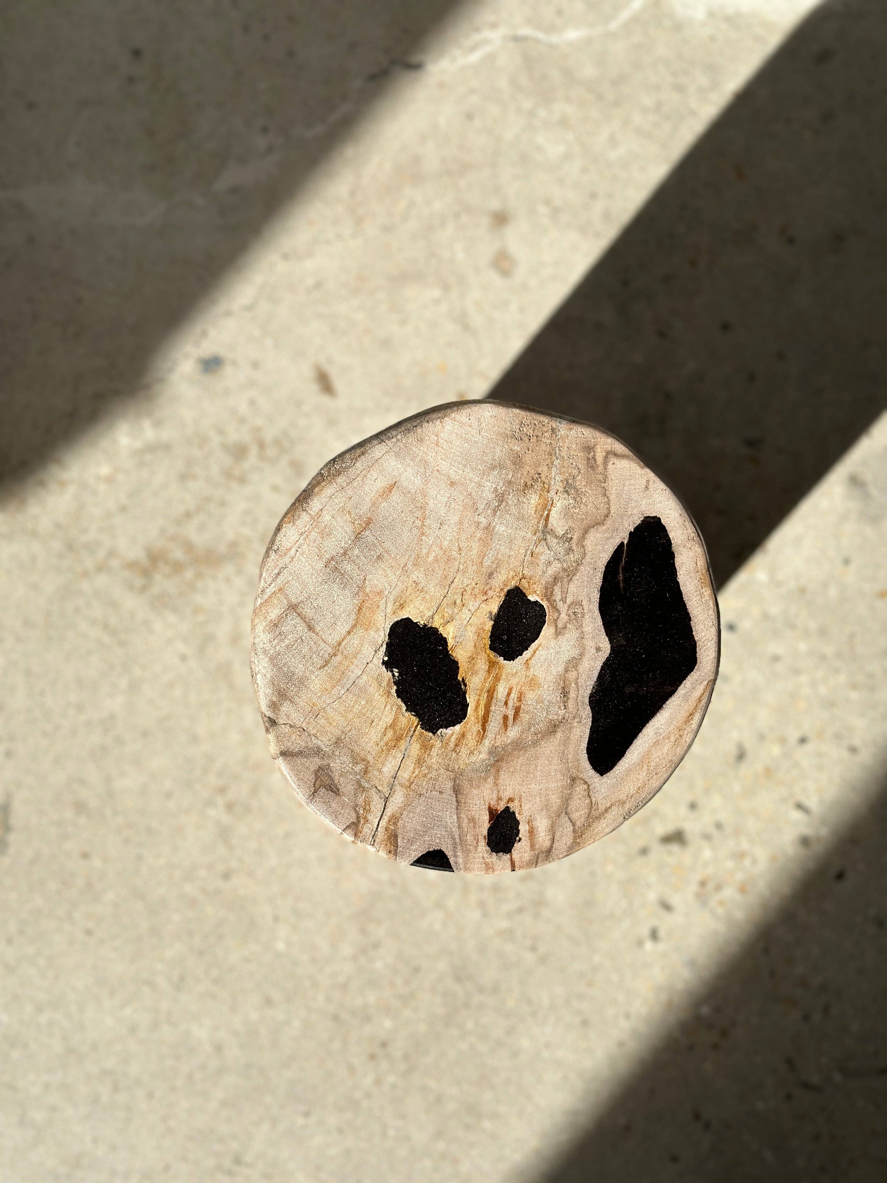 Office Objets - Wholesale Side Table - White petrified wood side table with black spots H:27.5 D:1874