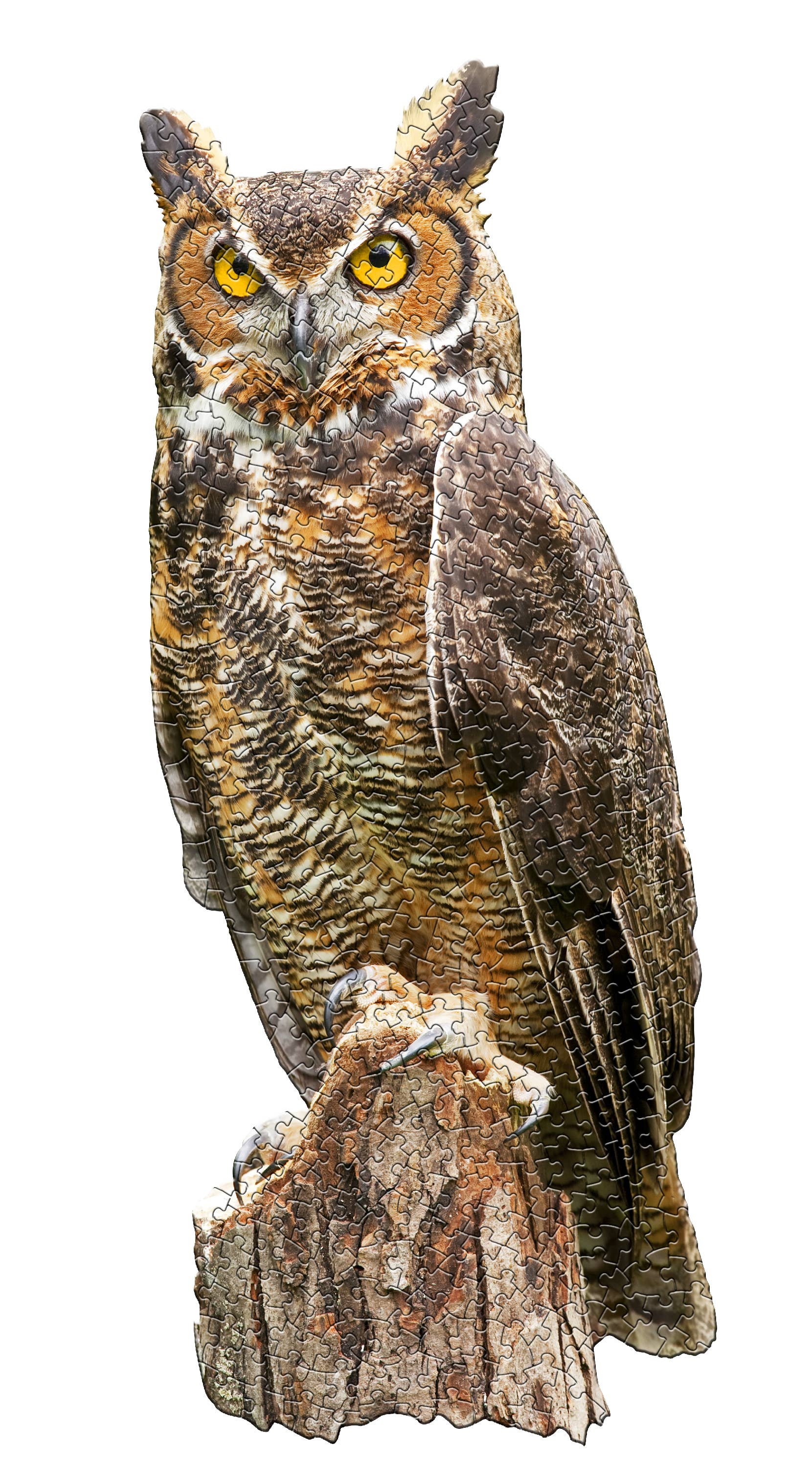 Madd Capp Games & Puzzles - Wholesale Puzzle - Adult - I AM GREAT HORNED OWL 300 piece jigsaw puzzle