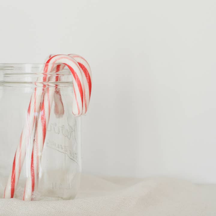 The Plant Gift Co. – wholesale Christmas decoration – Merry Christmas, Grow Your Own Xmas Tree, plus Candy Canes