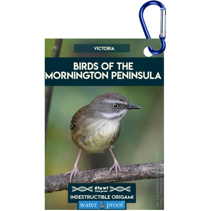 Oiseaux de la péninsule de Mornington-Origami indestructible pour la vente par Flexi Field Guides