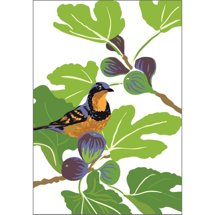 Rigel Paper - Wholesale Magnet - RBI-142 Varied Thrush & Fig Tree Magnet: Birds and Fruit