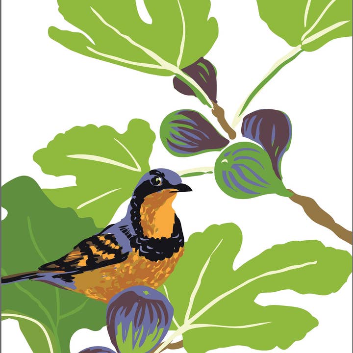 Impression d'art de grives et de figues : Beaux oiseaux de jardin pour la vente par Rigel Paper