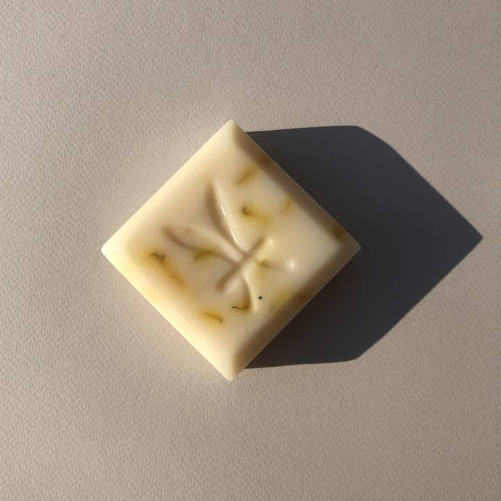 Herban Body Care - Wholesale Bar Soap - Plant Bar herbal body soap6