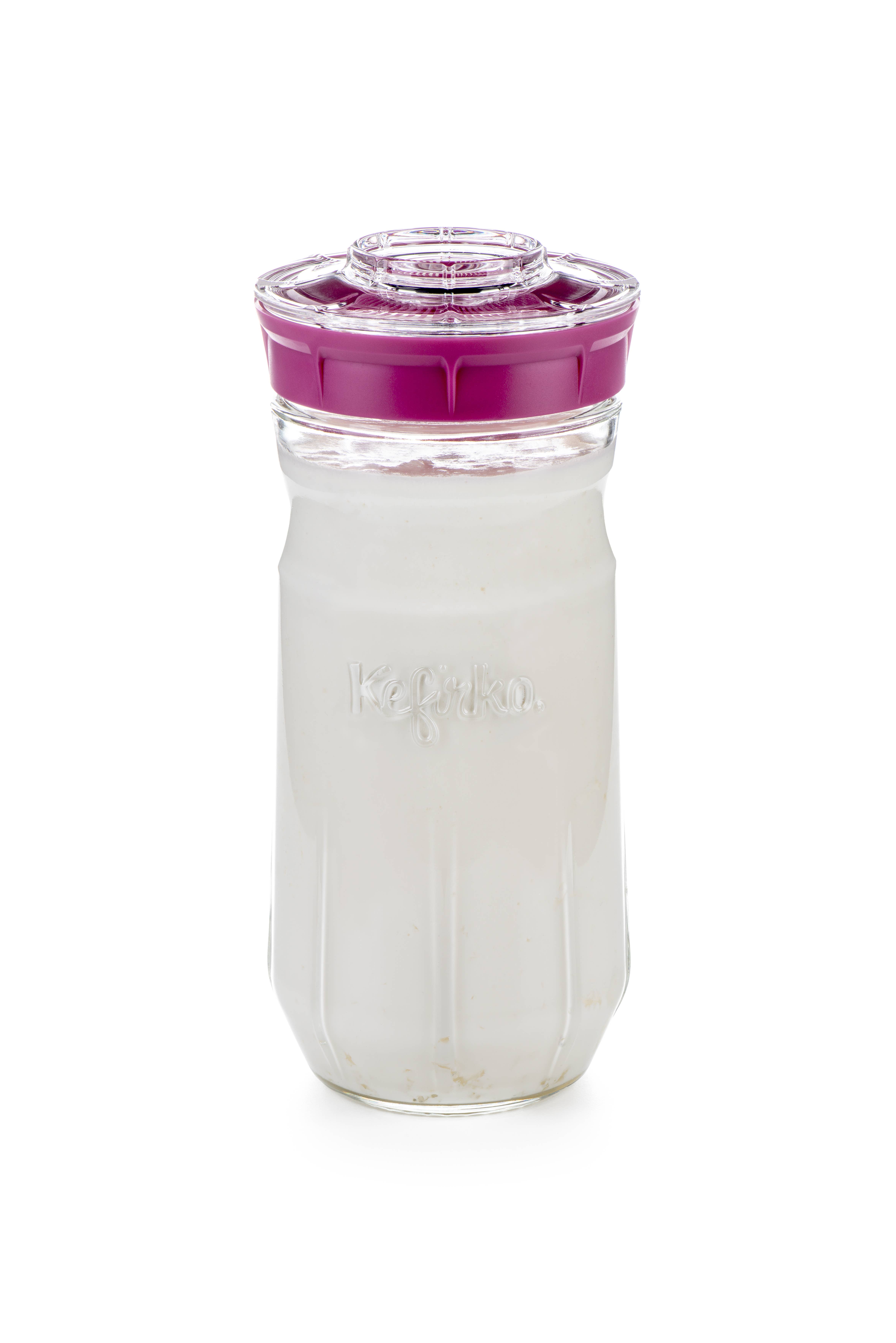 Kefirko – wholesale Jar – Kefirko Kefir Fermenter 2