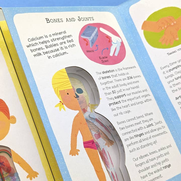 Robert Frederick Ltd - Wholesale Book - Kids - My First Human Body Book - New Version