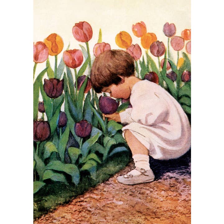 Vykort Tulpan Tid (091264) för wholesale av Works on Paper by Catch Publishing