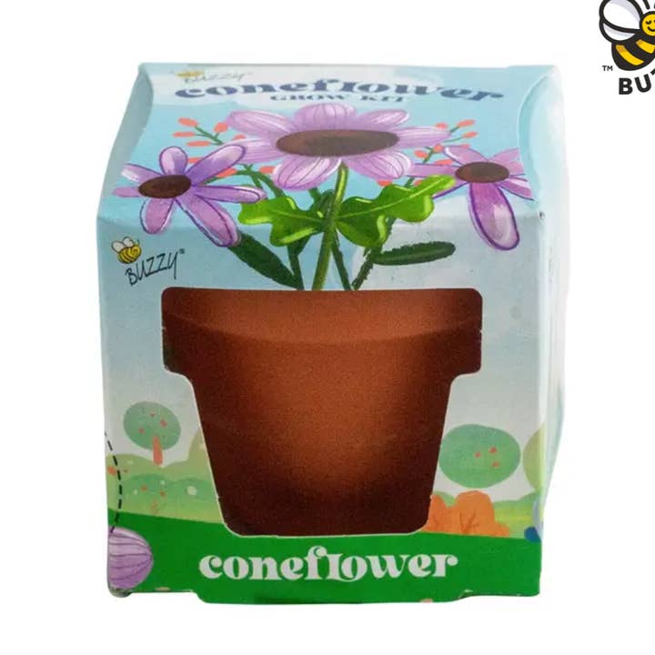 Kids Mini Terracotta Coneflower Grow Kit – Indoor Gift for wholesale by Buzzy Seeds Grow Gifts