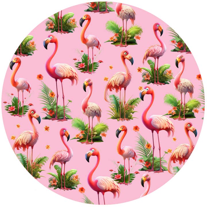 Flamants roses pour la vente par Andreas