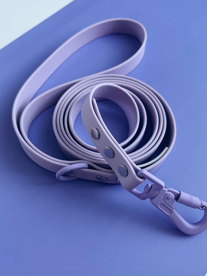 WATERPROOF DOG LEASH - SUGAR & SNOUT - TAFFY TAIL for wholesale by Hund & Shore