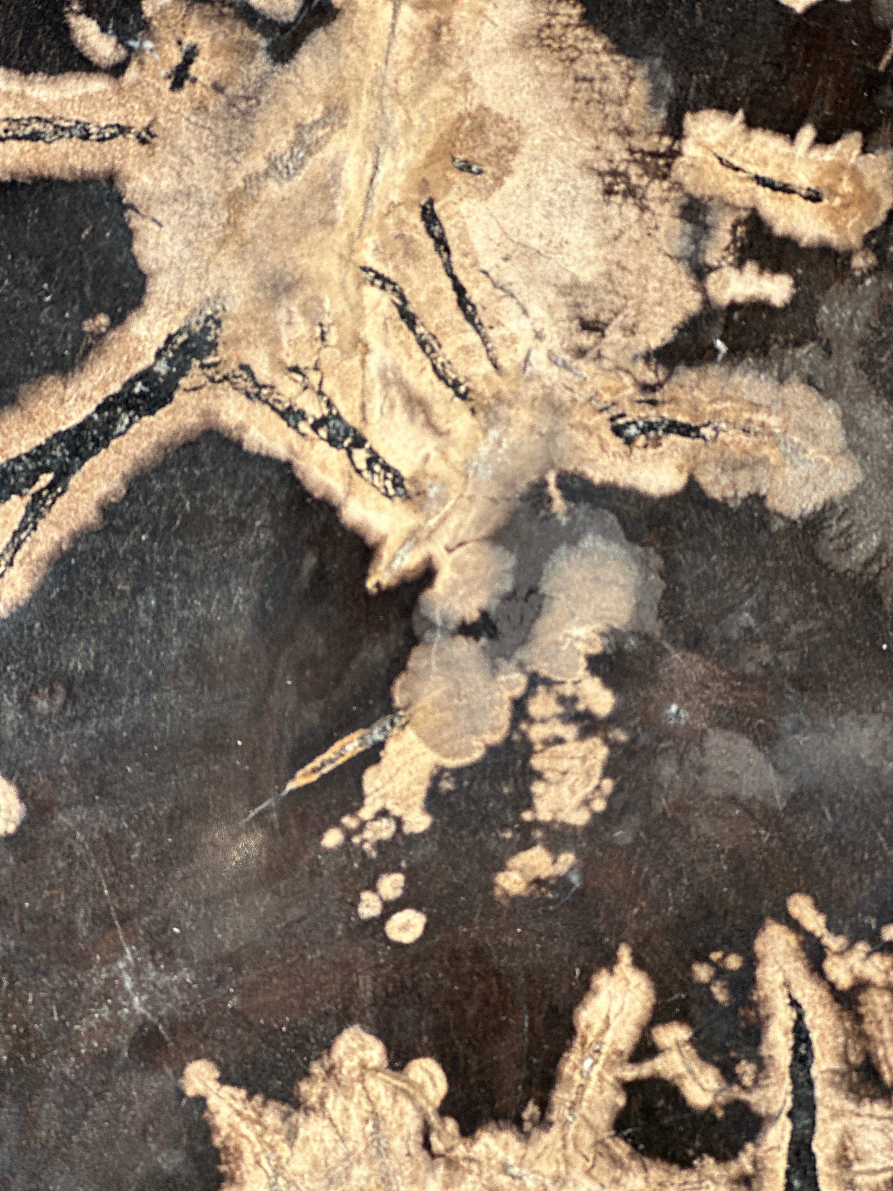 Office Objets - Vente Tables d'appoint - Table d'appoint en bois pétrifié4