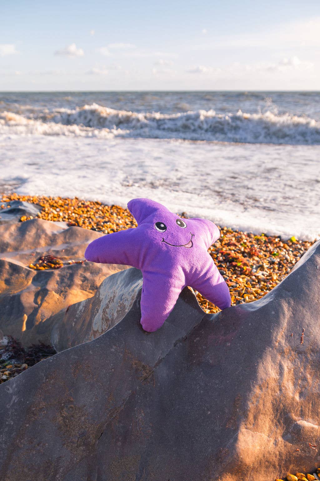Sustainapaws – wholesale Pet plush toy – Dog – Starfish Double Layered Recycled Plastic Plush Dog Toy5