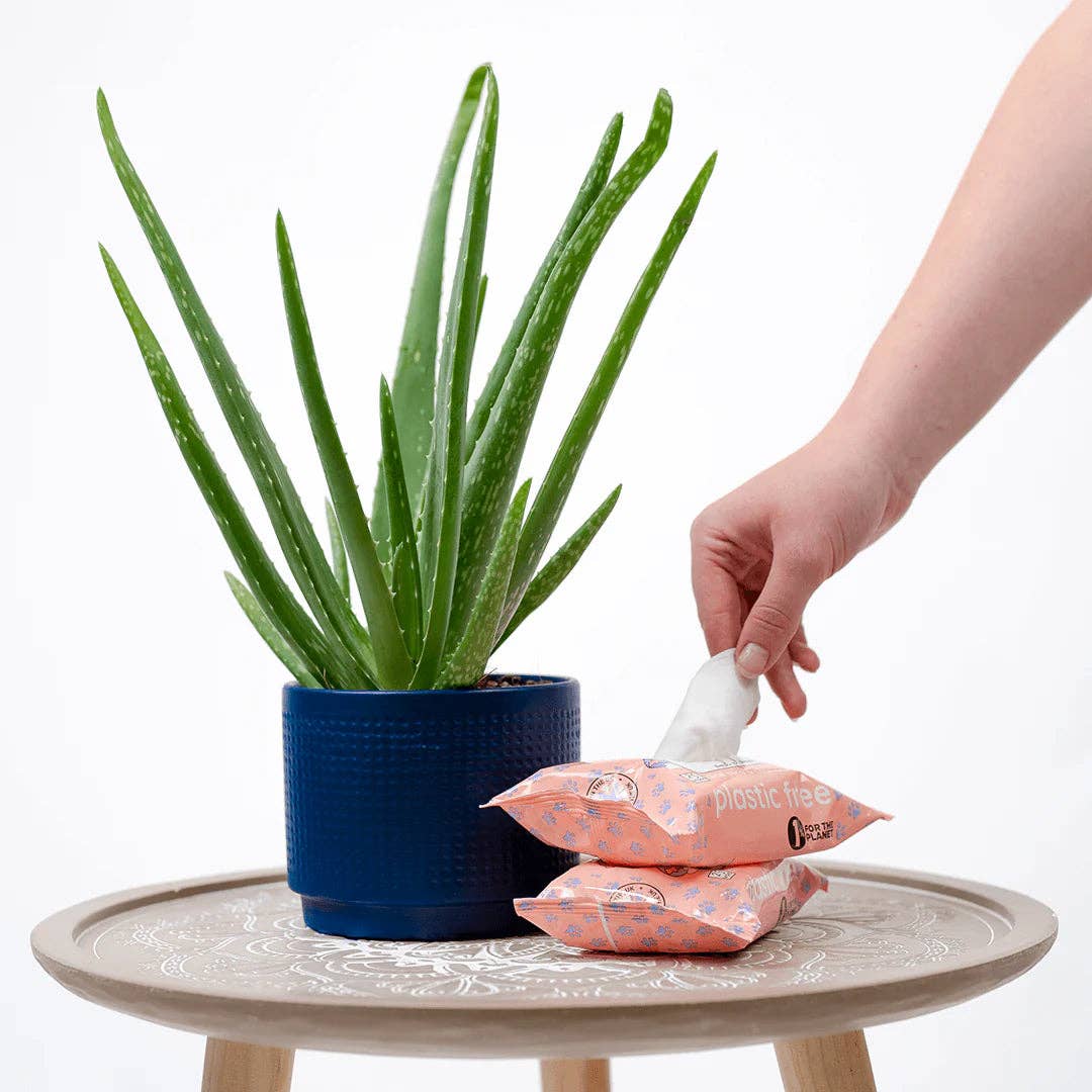 WYLD CUB – Material de limpeza para animais de estimação por atacado – Toalhetes para Animais Compostáveis – À Base de Plantas, Naturais e Seguros para Animais de Estimação da Adios8