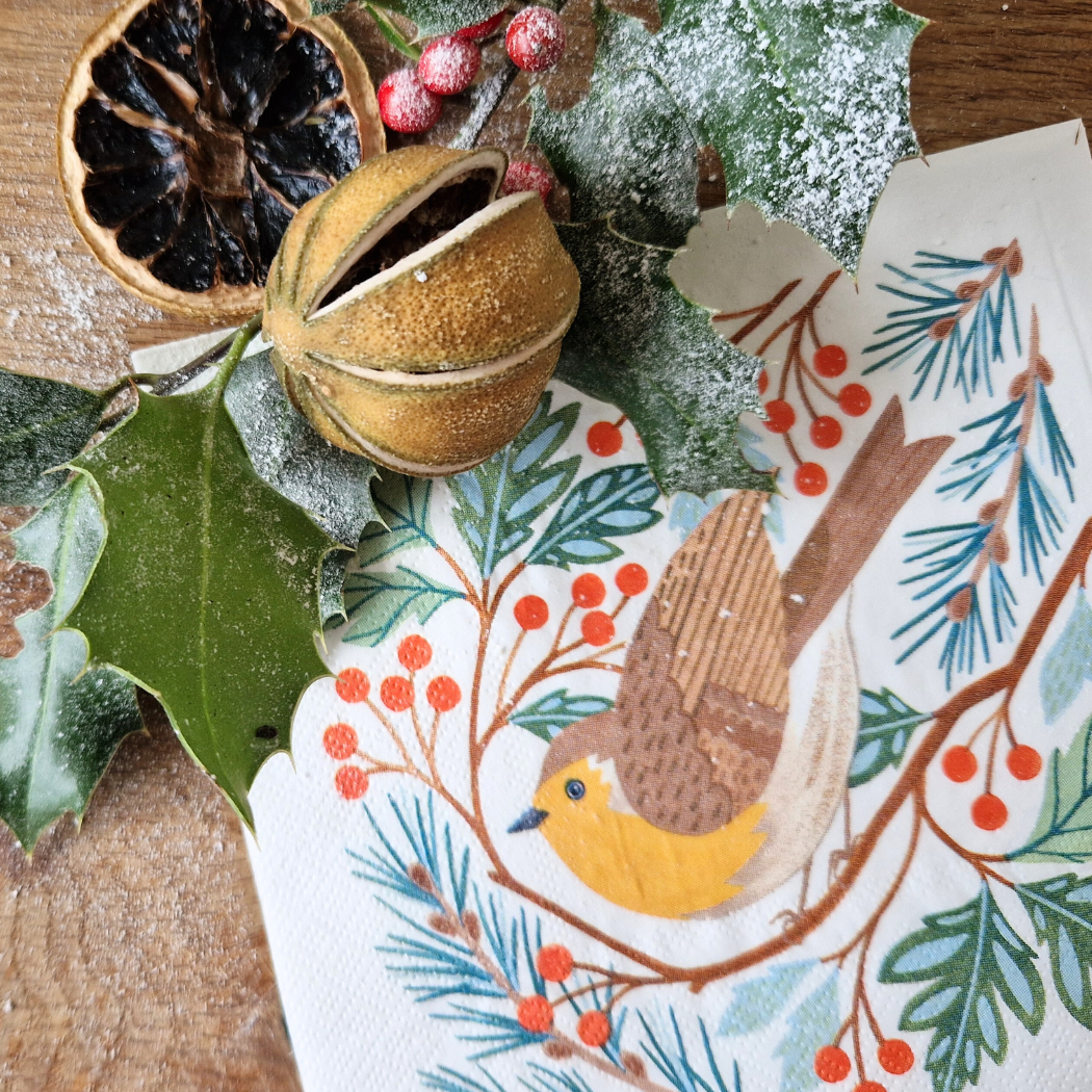 Bluebell and Lark - Wholesale Disposable Napkin - Christmas Robin Festive Paper Napkins2