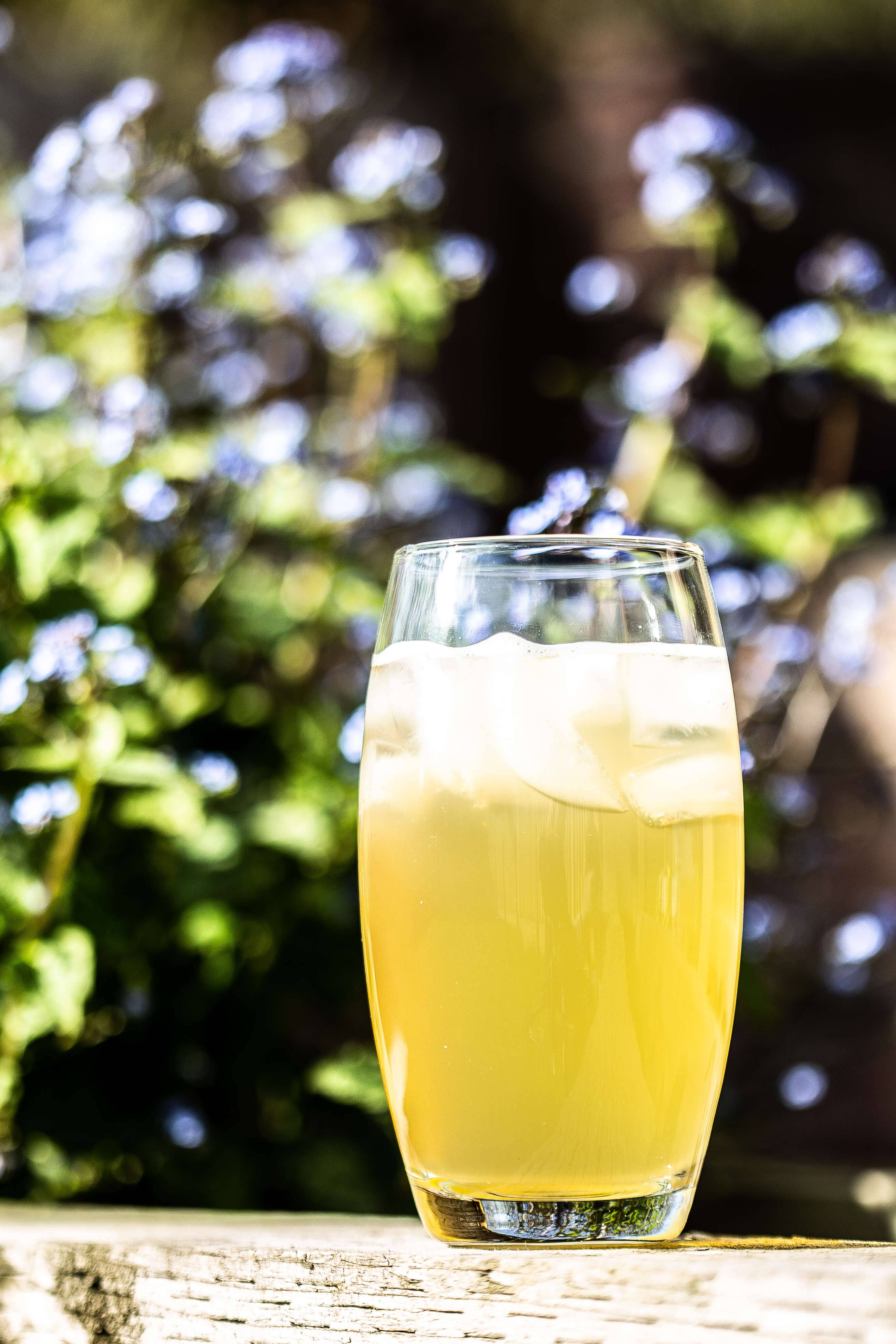 Loving Foods – wholesale Kombucha – Organic Jun-Kombucha2