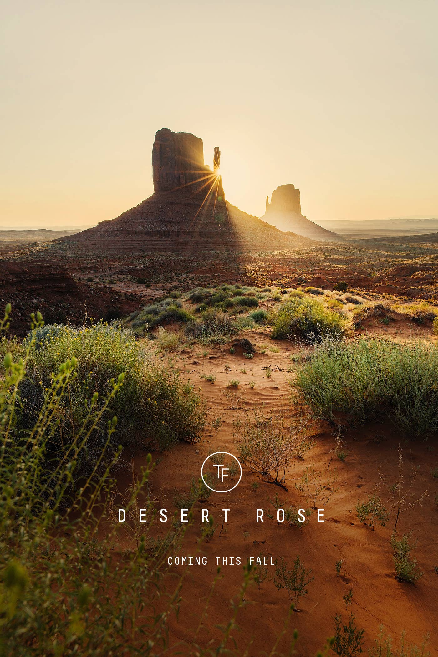 Tule Fog Candles - Wholesale Jar/Filled Candle - Desert Rose Soy Candle Mini 3.5oz2