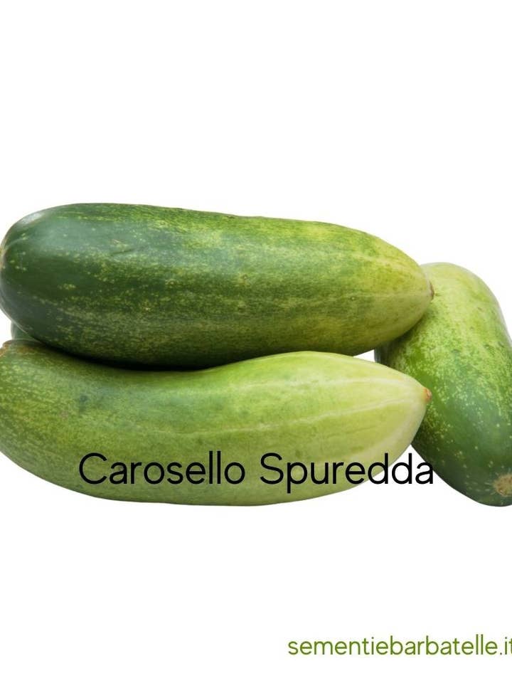Carosello Spuredda per la vendita all'ingrosso da parte di Sementi & Barbatelle