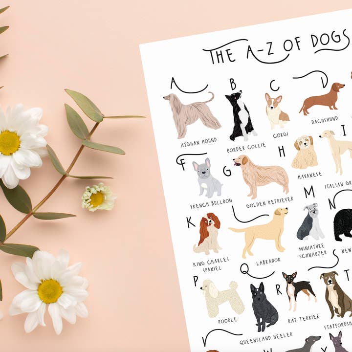 Bea Baranowska Illustration – wholesale Art print – The A-Z of Dogs Print2