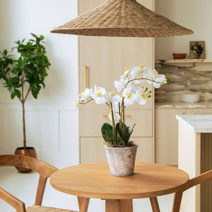 Bacon Basketware - Wholesale Chandelier/Hanging Light - SHALLOW RATTAN PENDANT LAMP GREY RATTAN