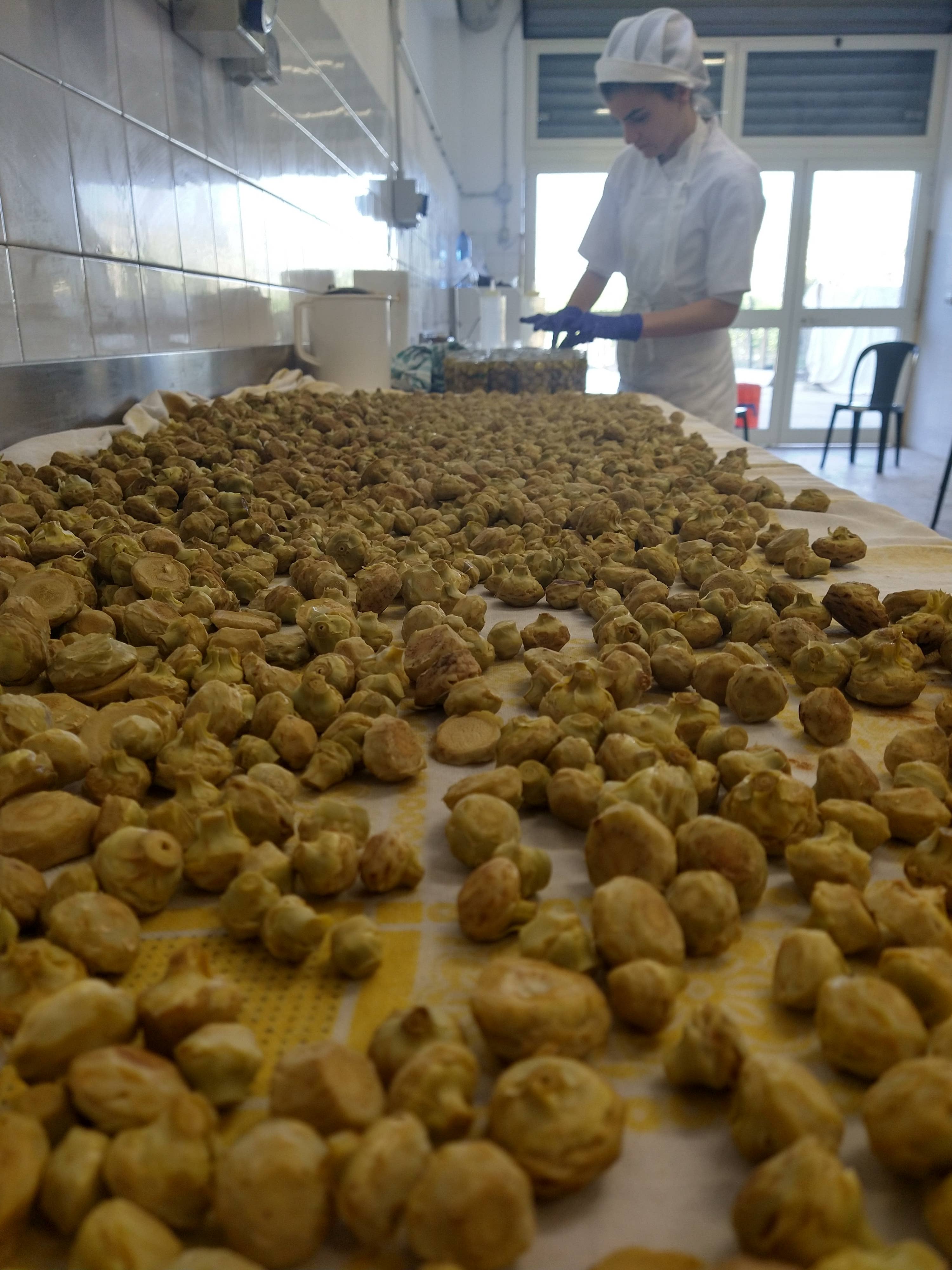 Caterisana - Wholesale Pickled Vegetables - WILD ARTICHOKES IN EXTRA VIRGIN OLIVE OIL6